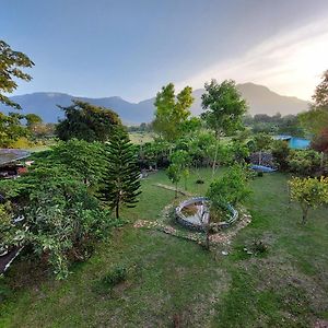 The Tiger Paw Resort